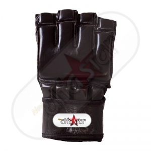 MMA Gloves